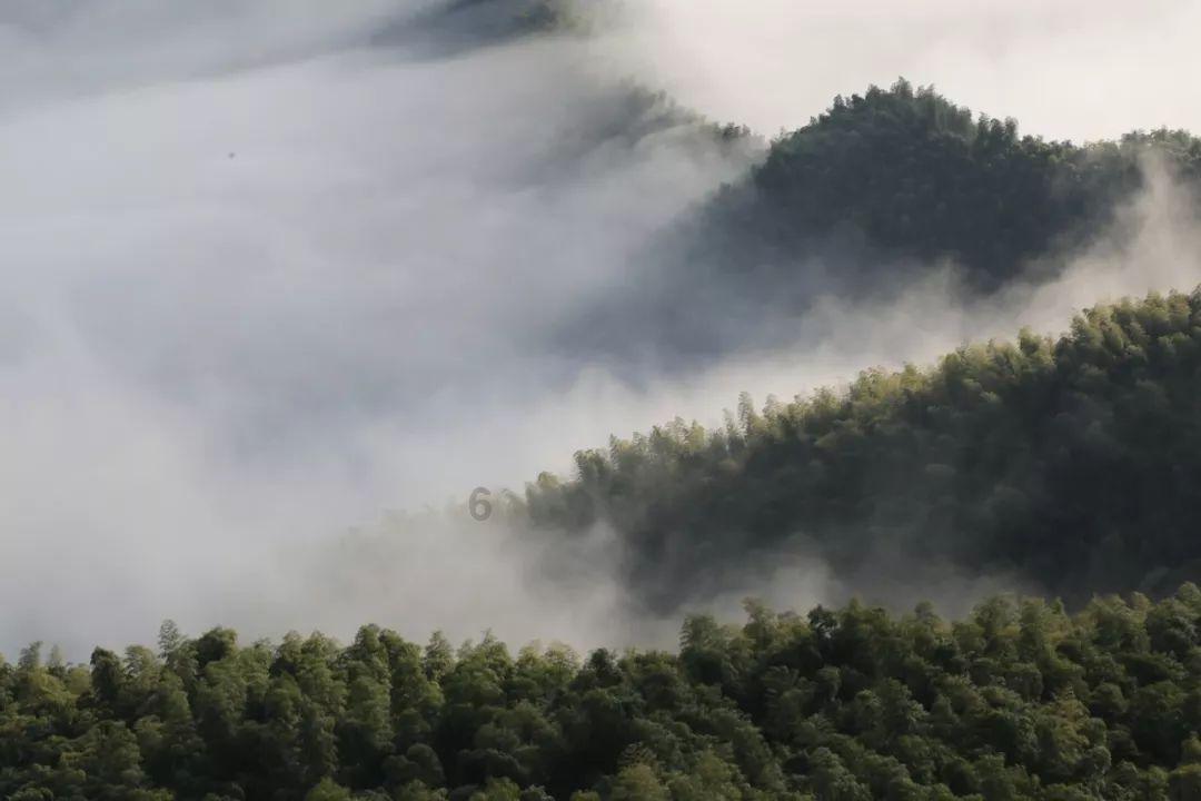逗小猴开心系列202
