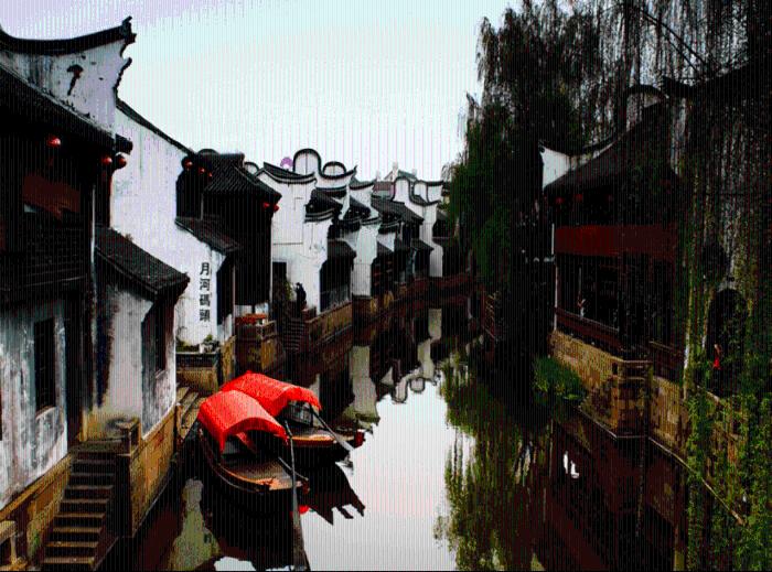 动物帮帮忙保卫家园